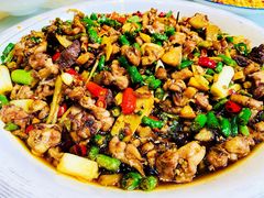 -新概念来凤鱼(璧山店)