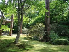 -三千院