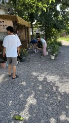 -DORA kids 朵拉儿童摄影花园店