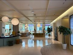 -观心实验室·心理咨询(上海旗舰店)