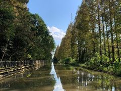 -上海长兴岛郊野公园