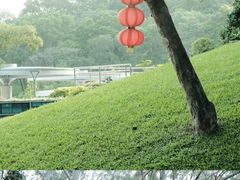 -广州市白云山风景名胜区