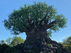 -奥兰多迪士尼动物王国乐园