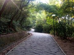 -峙山公园