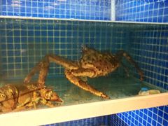 水产区-金龙·打边炉(南京西路店)