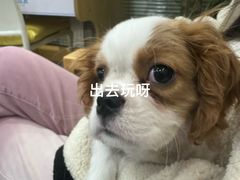 -美迦爱-牙专科·兔科·骨科诊疗中心(北苑店)