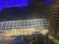 -成都浩海立方海洋公园