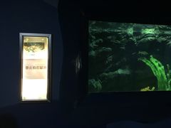 旁边写着狮子鱼，边上根本没有狮子鱼-苏州海洋馆