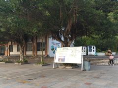 -大雁山风景区