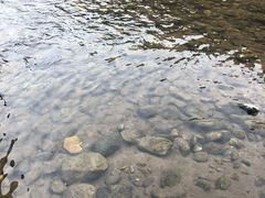 -润伊康·正骨推拿·盲人按摩(南横东街店)