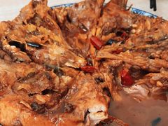 -金鹏鱼肉馆