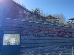 -青藏高原野生动物园