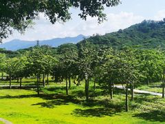 -风云岭森林公园