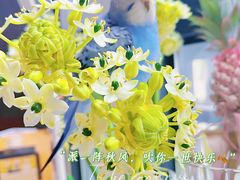 -青石桥花鸟鱼虫市场(叠翠城店)