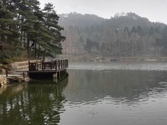 -庐山风景区花径公园