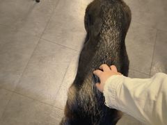 -KingBull私教健身&格斗订制(龙井商业中心店)