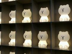 -line friends(明洞旗舰店)