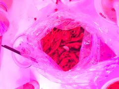 -文和友老长沙龙虾馆(化龙池店)