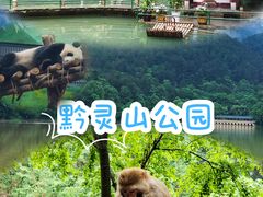 -黔灵山公园