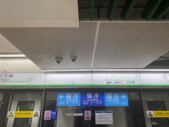 -竹子林(地铁站)