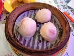 -憶廟街 X 沙角邨(太古城店)