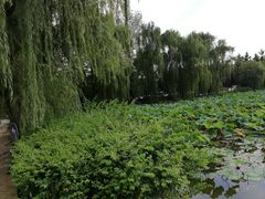 -三圣花乡旅游区