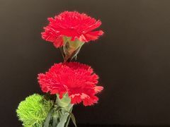 -许家菜(DT51店)