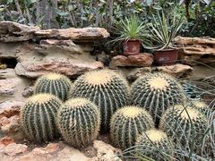 -国家植物园南园