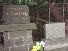 -大鹿岛