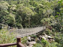 -海南热带雨林国家公园吊罗山景区