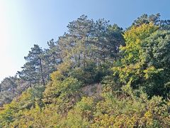 -信阳灵山风景区