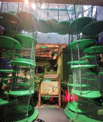 -恐龙探索乐园(磁器口店)