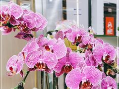-ALIV WELLNESS运动健身(浦东大道店)