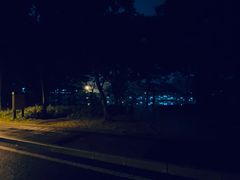 -东莞植物园