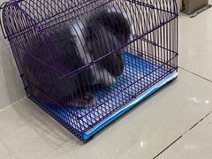 -菲尔斯特宠物医院