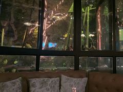 -碧特博格·20年品牌西餐厅(芜湖路店)