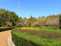 -同里国家湿地公园