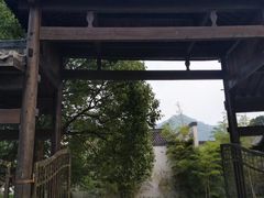 -帐篷客·溪龙茶谷度假酒店