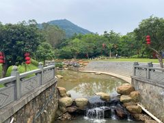 -黄埔油麻山森林公园