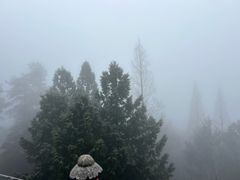 -南岳衡山风景名胜区-南岳大庙