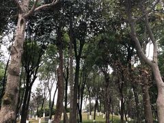 -重庆市江北嘴中央商务区中央公园