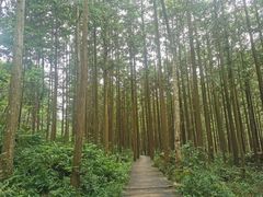 -姑婆山旅游区