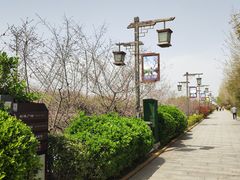 -西安汉城湖景区