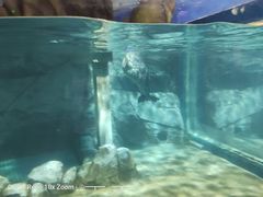 -临沂极地海洋王国