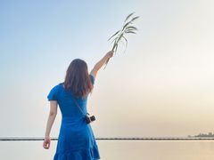 -合肥滨湖国家森林公园