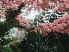 -滕头生态酒店(奉化店)