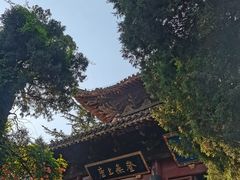 -洛阳白马寺