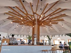 -ChanDu躔度咖啡(灯塔店)