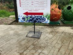 -米果果小镇