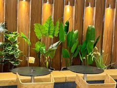 -Pennehut畔尼意面(合肥万象城店)